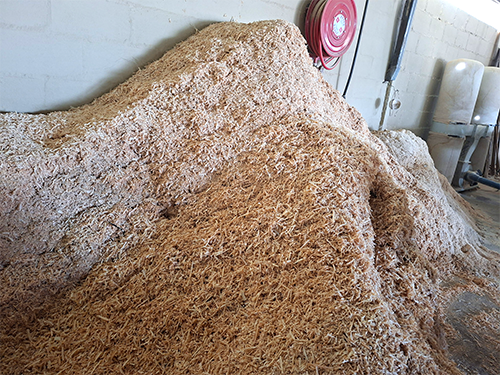 Sawdust and wood shavings pile